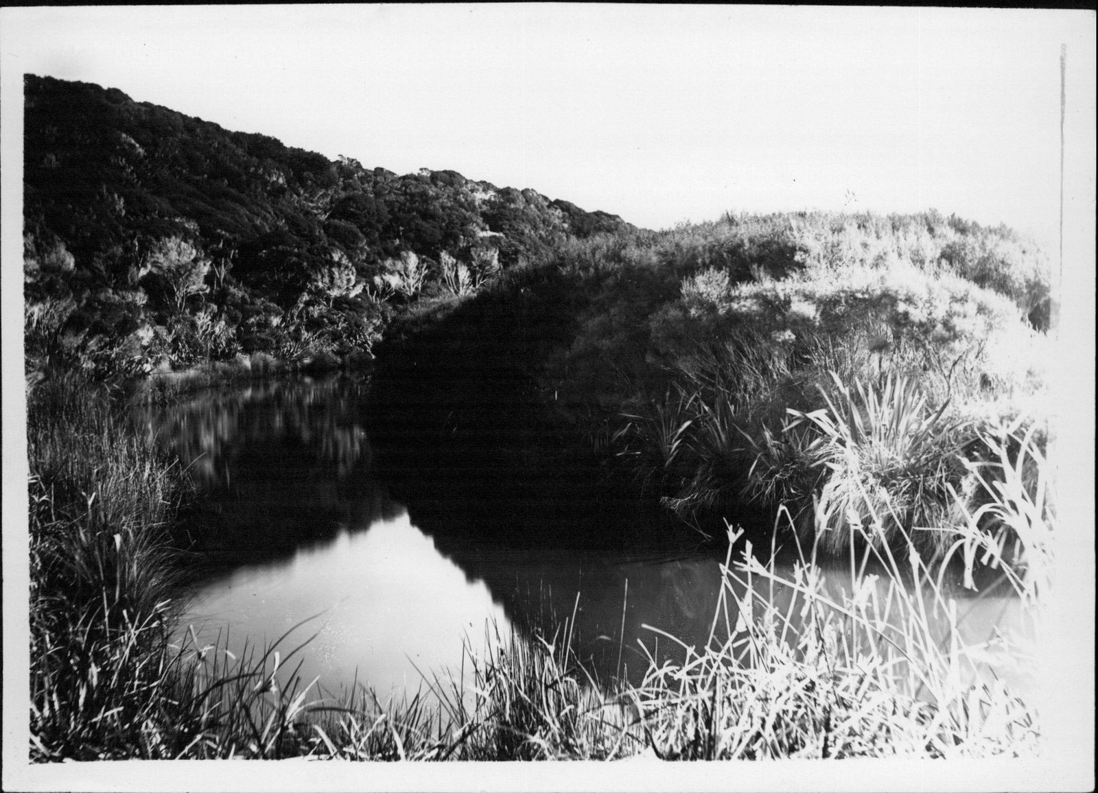Historic photograph of Kaitoke Beach, Aotea Great Barrier Island, taken by Henry Winkelmann in the early 1900s